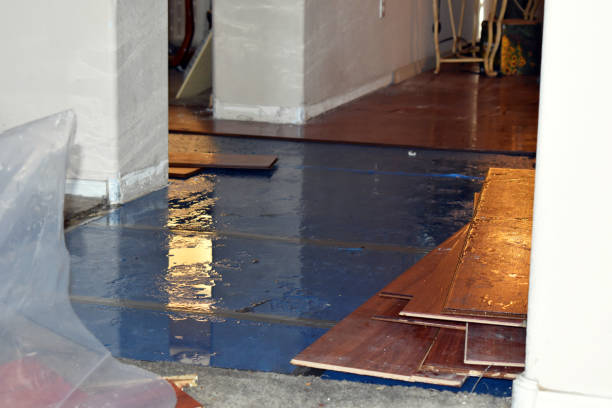 Professional Water Damage Restoration technician working in Columbus, IN